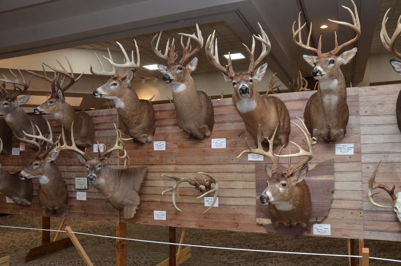 2026 Buckeye Big Buck Club banquet trophy presentation