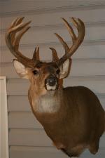 Custom Personal Buck Sticker — 4″ (4×6)