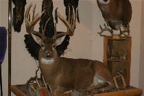 Custom Personal Buck Sticker — 10″ (10×12)