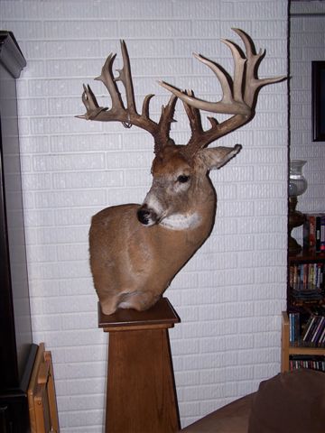 Joseph Wayne with BBBC trophy buck