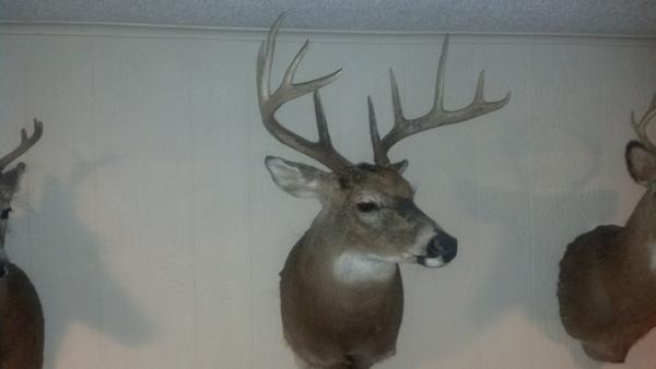 Keith Sims with BBBC trophy buck