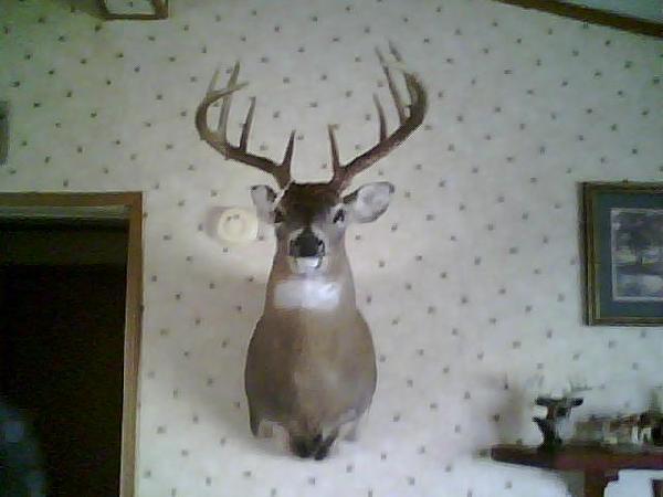 Lynne Bowens with BBBC trophy buck