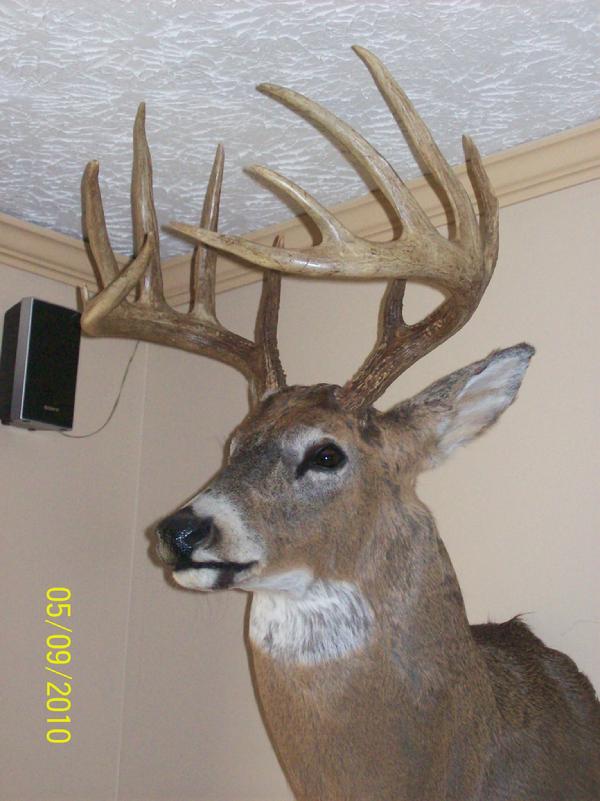 Rhonda Pitchford with BBBC trophy buck