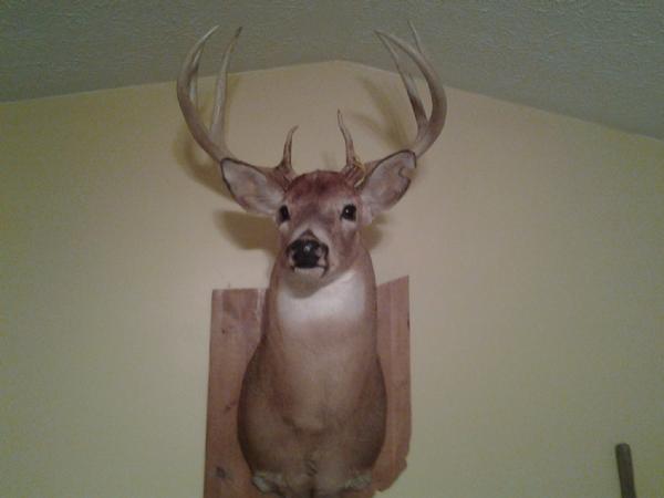 Tim Haney with BBBC trophy buck