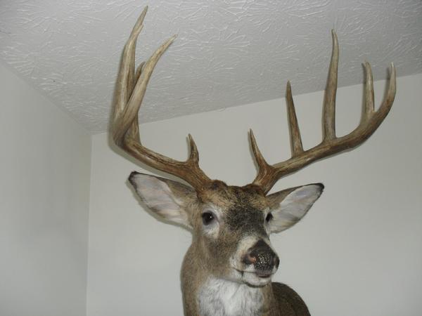 Leslie Eldridge with BBBC trophy buck