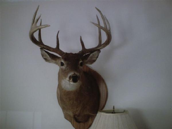 Roger Minerd with BBBC trophy buck