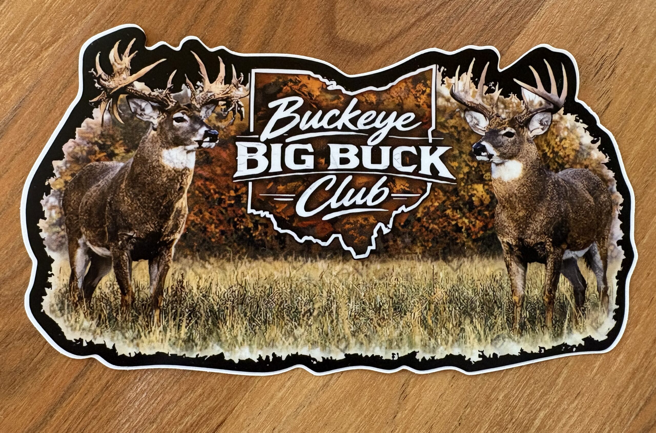 BBBC newest colorful sticker