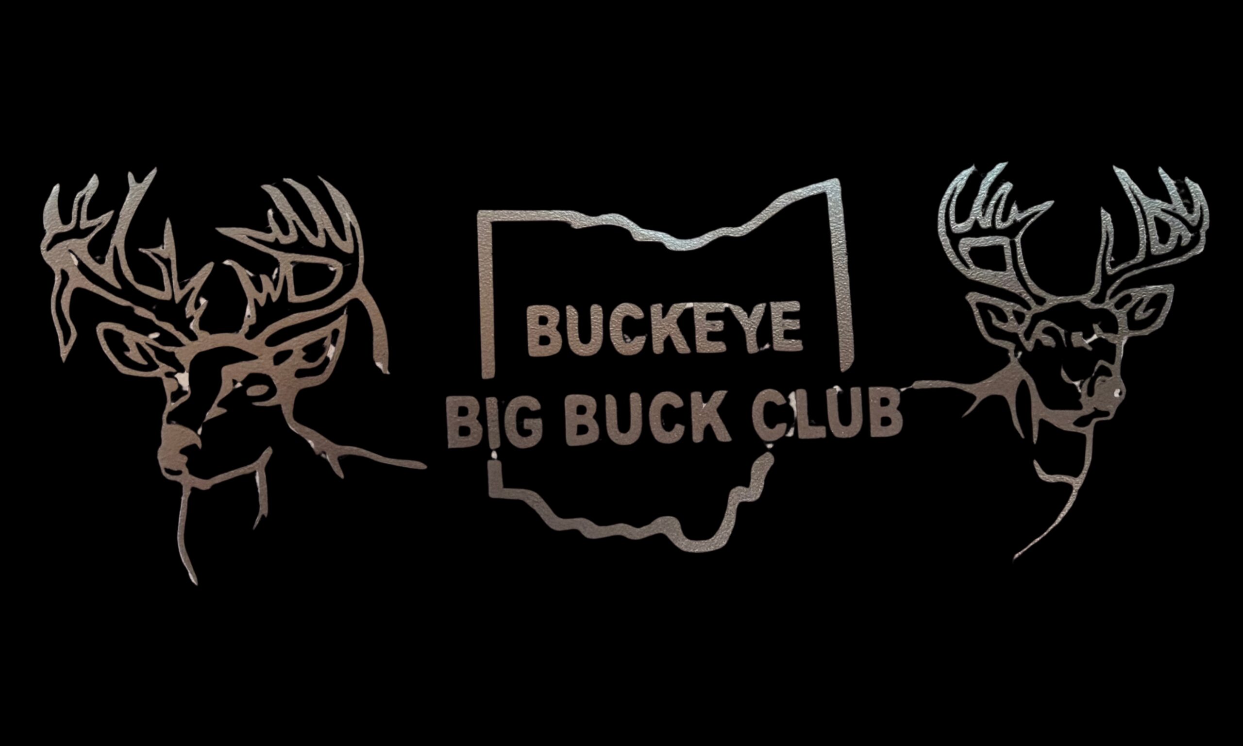 BBBC double buck sticker